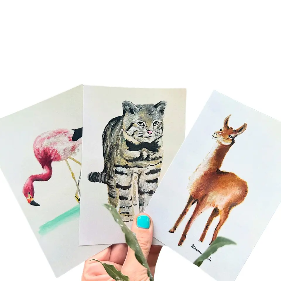 Postales Fauna Chilena 1