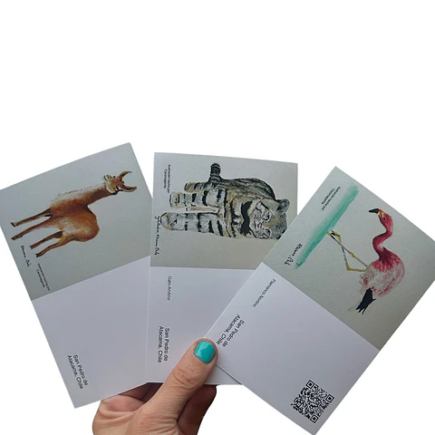 Postales Fauna Chilena