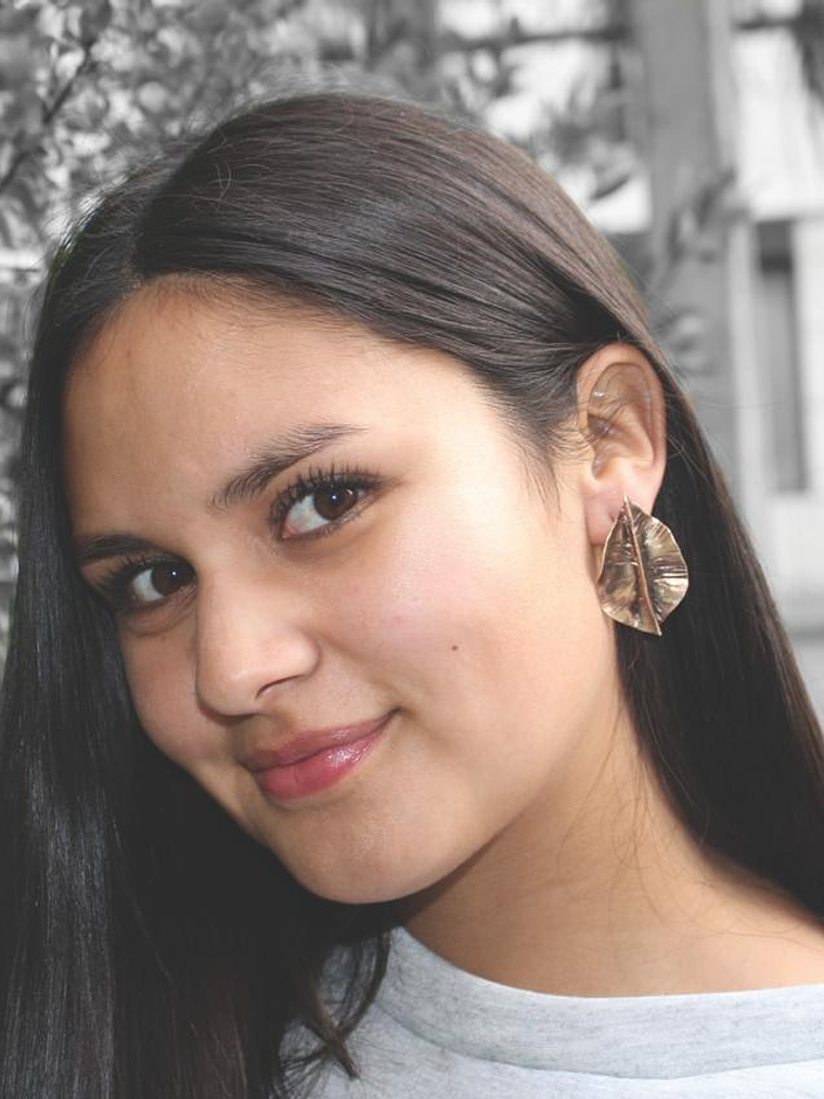 Aros  o pendientes de  hojas foldforming 1