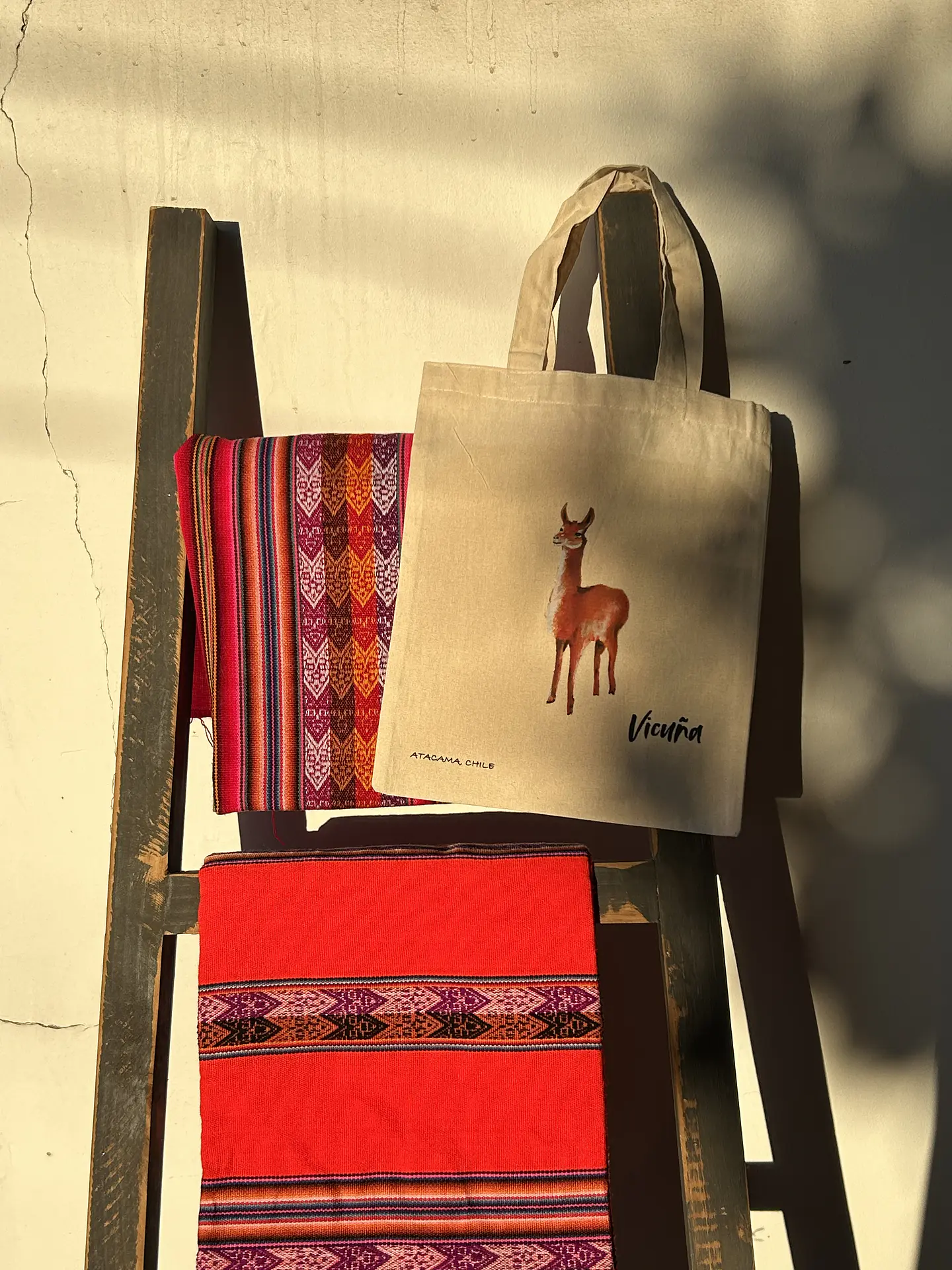 Tote bag, bolsas para ir de compras con ilustraciones de Caromagenta 3