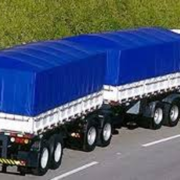 Carpas Para Camion 2
