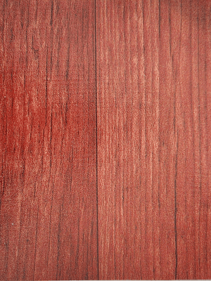 Linóleo 0.9 mm Tabla Nogal 2 x 25 mts