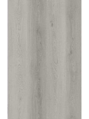 SPC Vinilico 5 mm Ceniza OAK