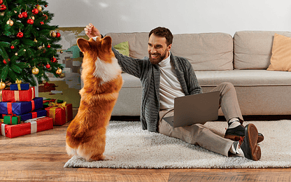 3 Claves para preparar tu hogar: El escenario de tu Navidad