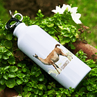 Botella Reutilizable Guanaco, Fauna Chilena 2