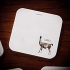 Posavasos, Fauna Chilena. 8