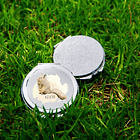 Espejo Vizcacha, Fauna Chilena (ilustrado). 2