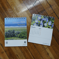 Calendario 2024, Desierto Florido, Chile (fotografías).