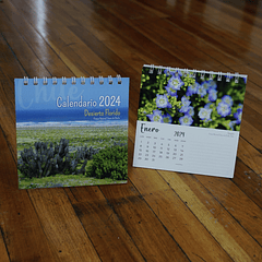 Calendario 2024, Desierto Florido, Chile (fotografías).