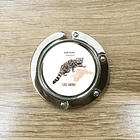 Colgador de cartera, Gato Andino 2