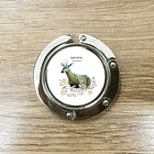 Colgador de cartera, Huemul 2