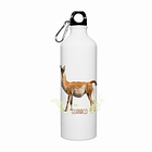 Botella Reutilizable Guanaco, Fauna Chilena 1