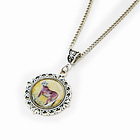 Colgante Puma, Fauna Chilena 1