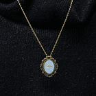 Colgante Flamenco, Fauna Chilena 2