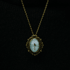 Colgante Libélula, Fauna Chilena 2