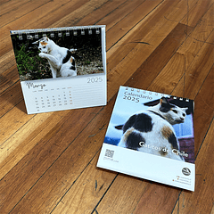 Calendario Escritorio 2025, Gatitos de las calles de Chile (fotografías).