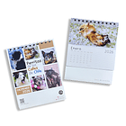 Calendario Escritorio 2026, Perritos de las calles de Chile (fotografías). 1