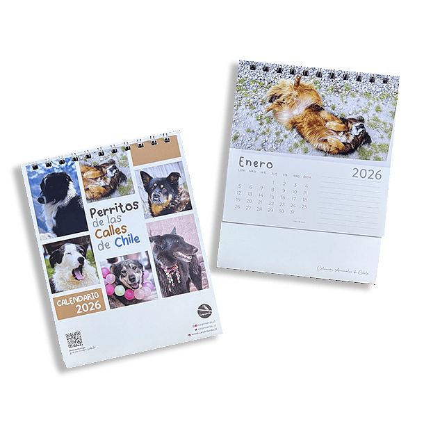 Calendario Escritorio 2026, Perritos de las calles de Chile (fotografías). 1
