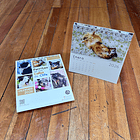 Calendario Escritorio 2026, Perritos de las calles de Chile (fotografías). 3