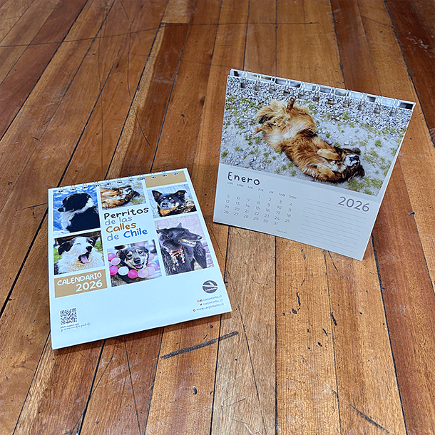 Calendario Escritorio 2026, Perritos de las calles de Chile (fotografías). 3
