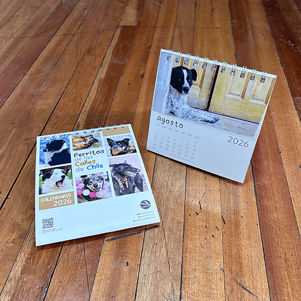 Calendario Escritorio 2026, Perritos de las calles de Chile (fotografías). 4