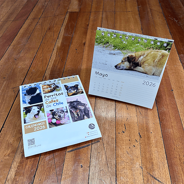 Calendario Escritorio 2026, Perritos de las calles de Chile (fotografías). 5
