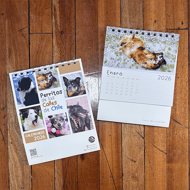 Calendario Escritorio 2026, Perritos de las calles de Chile (fotografías). 2