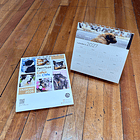 Calendario Escritorio 2026, Perritos de las calles de Chile (fotografías). 6