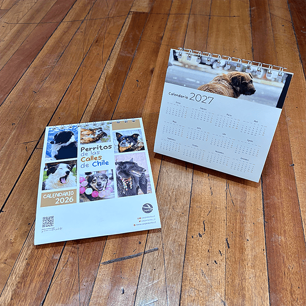 Calendario Escritorio 2026, Perritos de las calles de Chile (fotografías). 6