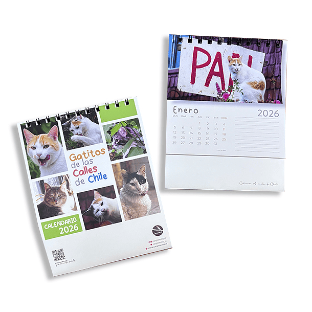 Calendario Escritorio 2026, Gatitos de las calles de Chile (fotografías). 1