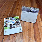 Calendario Escritorio 2026, Gatitos de las calles de Chile (fotografías). 7