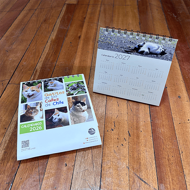 Calendario Escritorio 2026, Gatitos de las calles de Chile (fotografías). 7