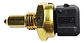 Sensor De Temperatura Para Mg550 1.8 - Miniatura 4