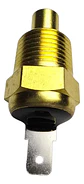 Sensor De Temperatura Para Great Wall Wingle 5 2.2 1 Pin - Miniatura 3