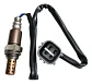 Sensor De Oxígeno Trasero Para Brilliance T52 - Miniatura 3
