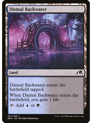 Dismal Backwater | Inglés | NM | NEO