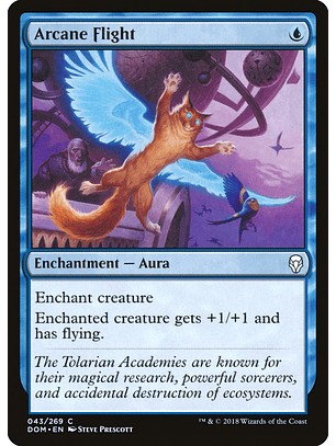 Arcane Flight | Portugués | NM | DOM