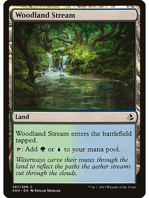 Woodland Stream | Inglés | NM | AKH