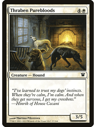 Thraben Purebloods | Inglés | NM | ISD