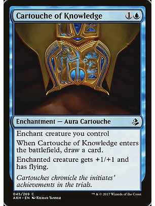Cartouche of Knowledge | Español | NM | AKH