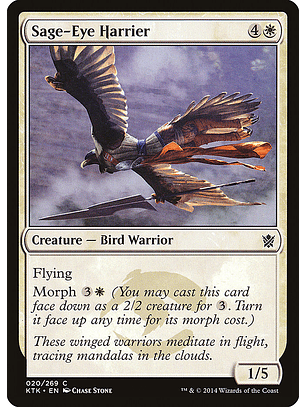 Sage-Eye Harrier | Español | NM | KTK