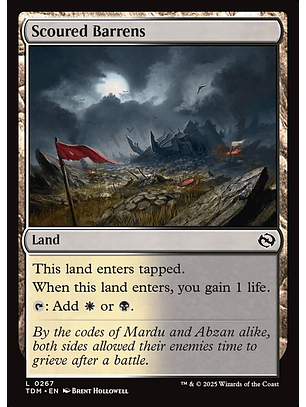 Scoured Barrens | Inglés | NM | TDM