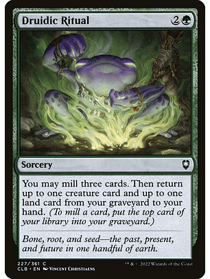 Druidic Ritual | Inglés | NM | CLB