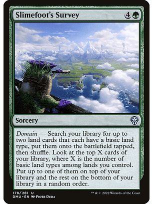 Slimefoot's Survey | Español | NM | DMU