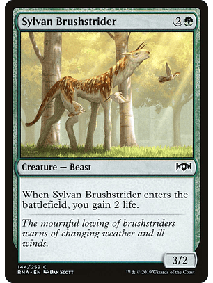 Sylvan Brushstrider | Inglés | NM | RNA