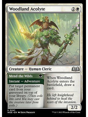 Woodland Acolyte // Mend the Wilds | Inglés | NM | WOE