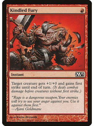 Kindled Fury | Inglés | NM | M13