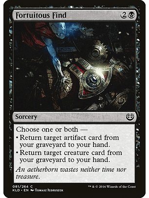 Fortuitous Find | Español | NM | KLD