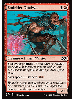 Endrider Catalyzer | Inglés | NM | DFT