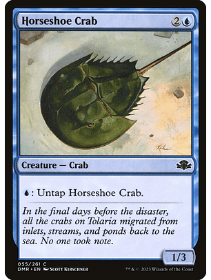 Horseshoe Crab | Español | NM | DMR